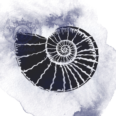 Трафарет - Раковина аммонита