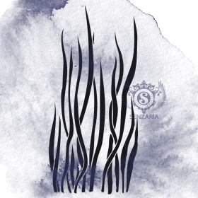 Трафарет - Ламинария 2